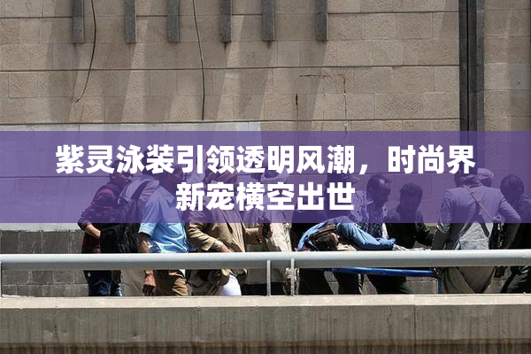 紫灵泳装引领透明风潮，时尚界新宠横空出世