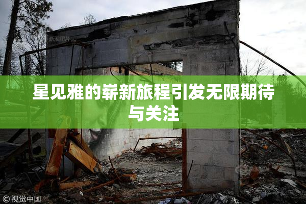 星见雅的崭新旅程引发无限期待与关注