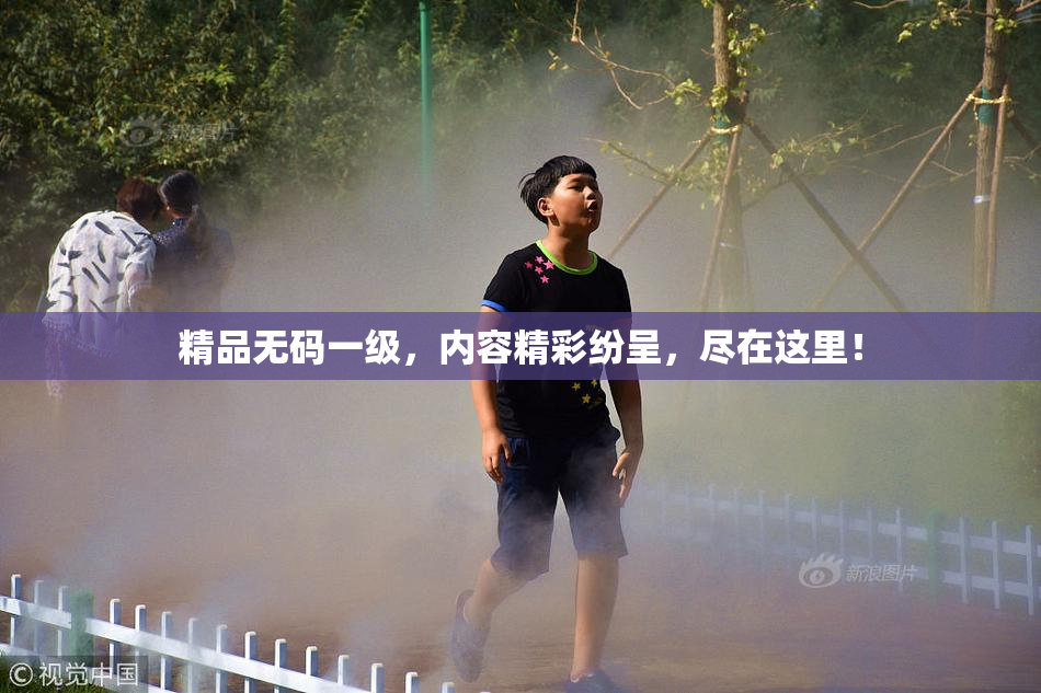 精品无码一级，内容精彩纷呈，尽在这里！