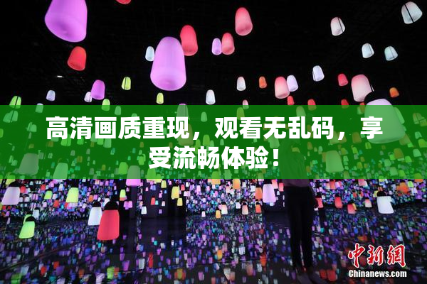 高清画质重现，观看无乱码，享受流畅体验！