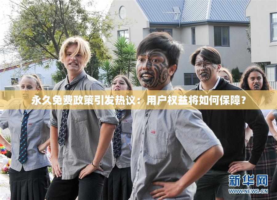 永久免费政策引发热议：用户权益将如何保障？
