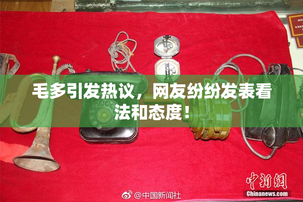 毛多引发热议，网友纷纷发表看法和态度！