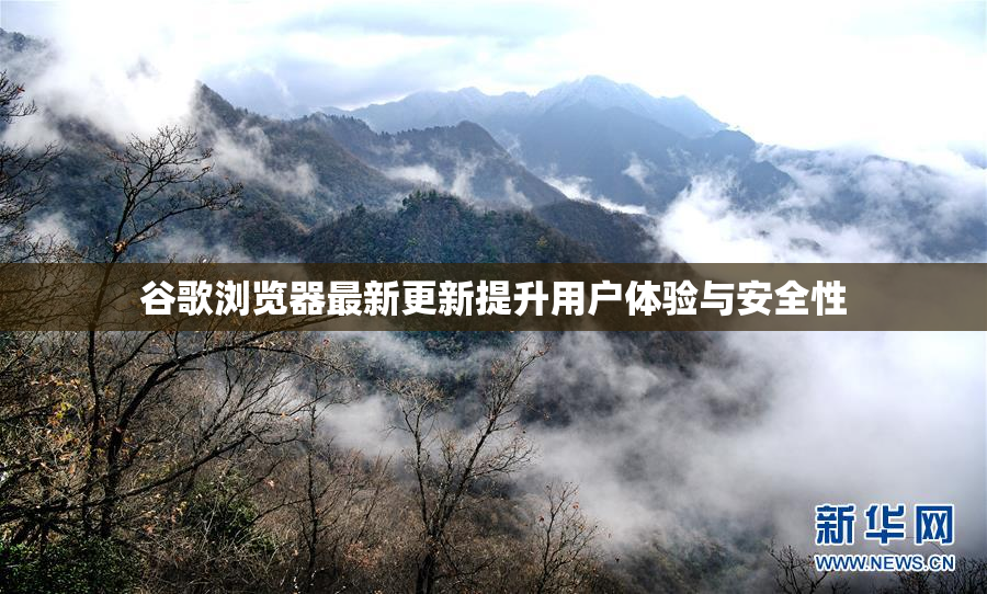 谷歌浏览器最新更新提升用户体验与安全性