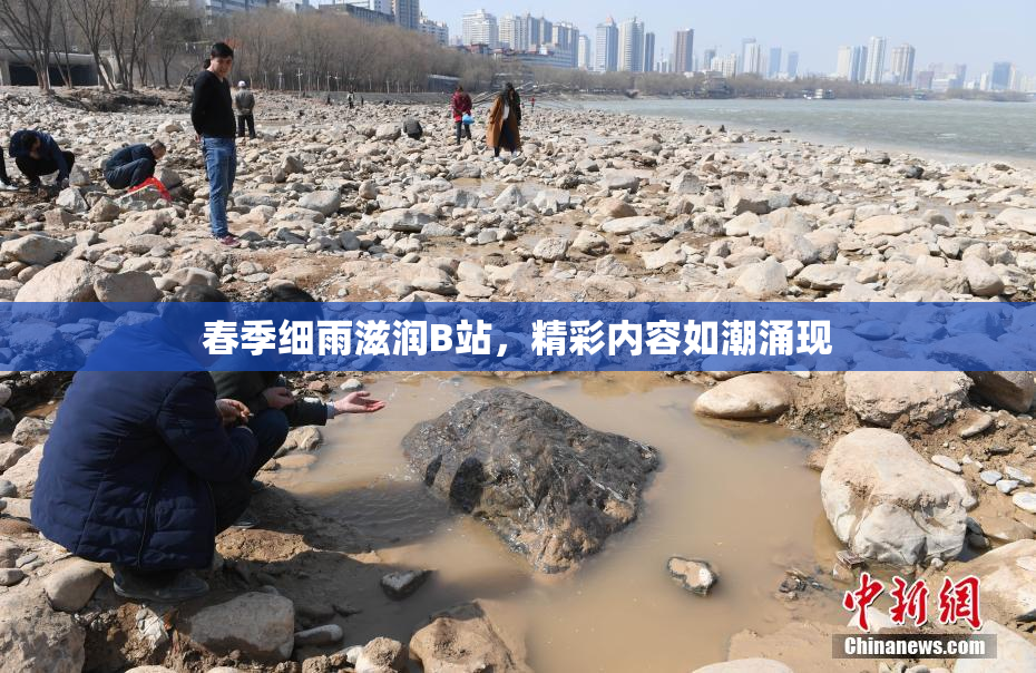 春季细雨滋润B站，精彩内容如潮涌现
