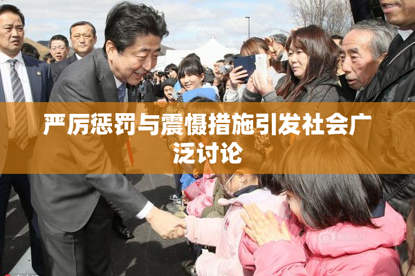 严厉惩罚与震慑措施引发社会广泛讨论