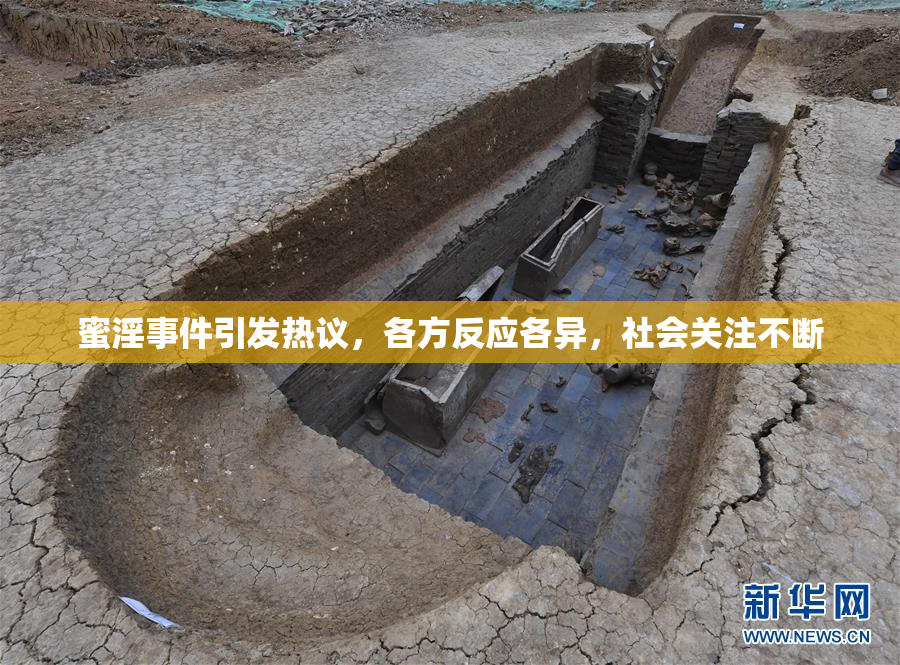 蜜淫事件引发热议，各方反应各异，社会关注不断