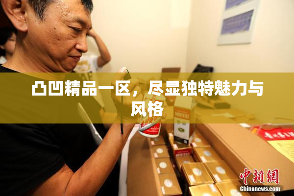 凸凹精品一区，尽显独特魅力与风格