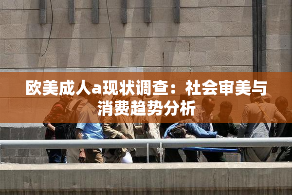欧美成人a现状调查：社会审美与消费趋势分析