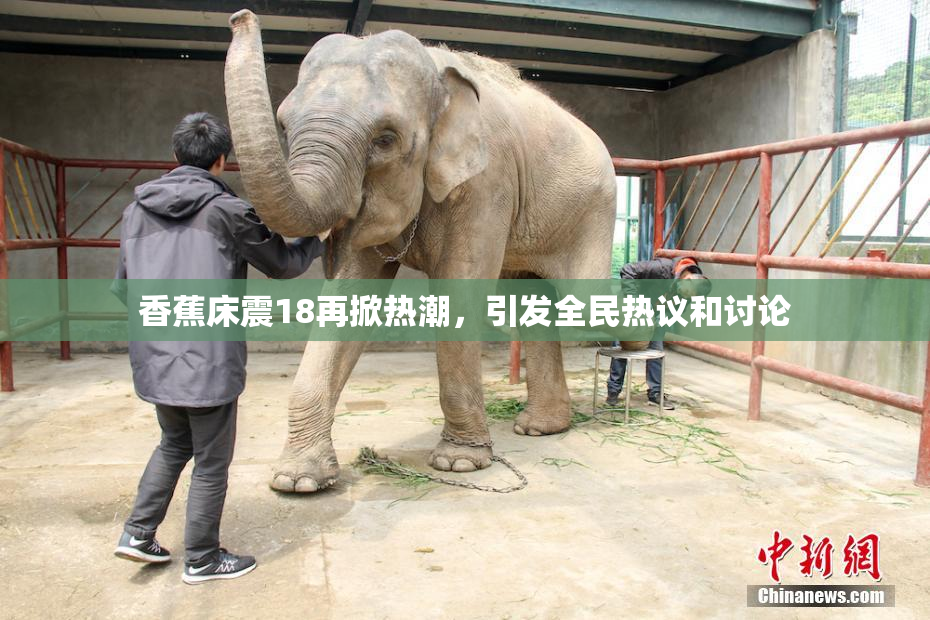 香蕉床震18再掀热潮，引发全民热议和讨论