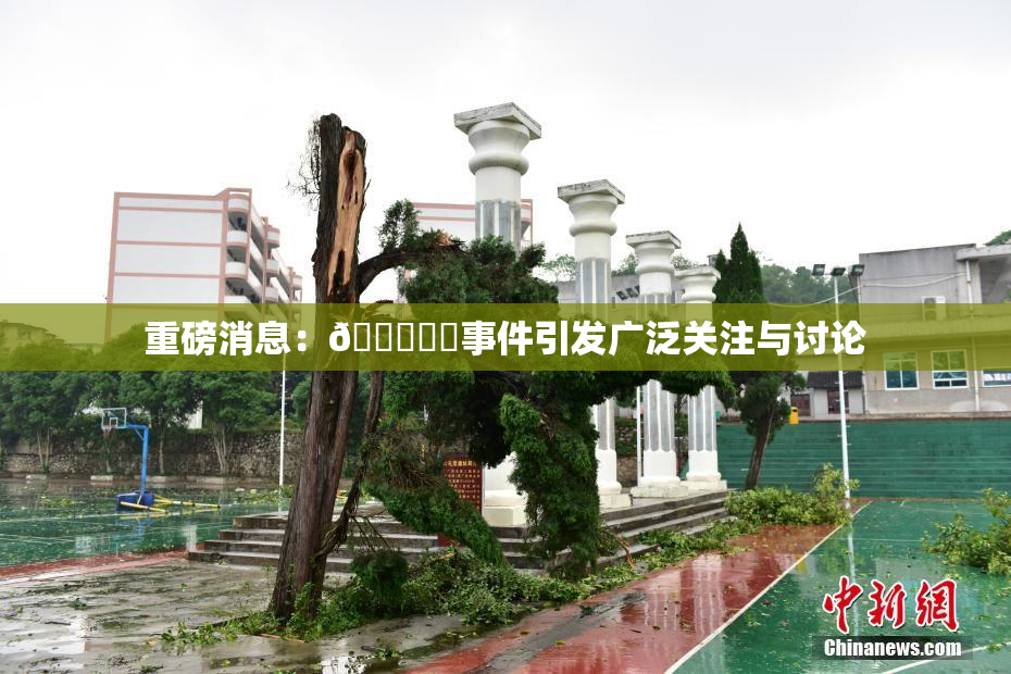 重磅消息：🍆❌‌事件引发广泛关注与讨论