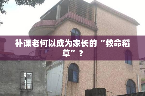 补课老何以成为家长的“救命稻草”？