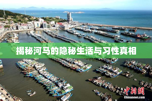 揭秘河马的隐秘生活与习性真相