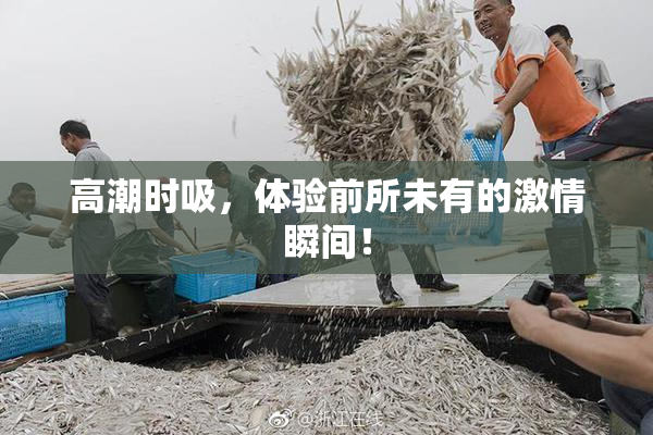 高潮时吸，体验前所未有的激情瞬间！