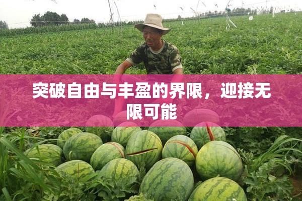 突破自由与丰盈的界限，迎接无限可能