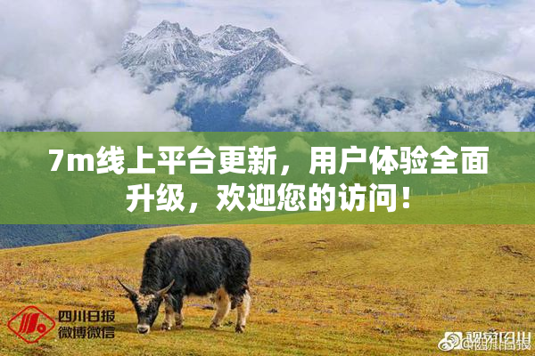 7m线上平台更新，用户体验全面升级，欢迎您的访问！