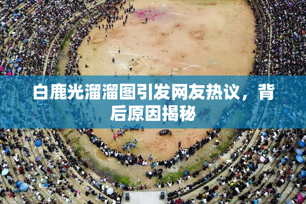 白鹿光溜溜图引发网友热议，背后原因揭秘