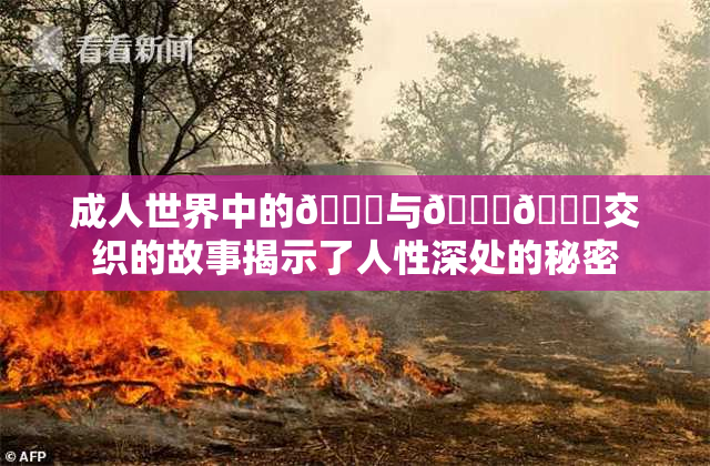 成人世界中的🍆与🍑🔞交织的故事揭示了人性深处的秘密