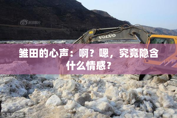 雏田的心声：啊？嗯，究竟隐含什么情感？