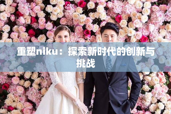 重塑niku：探索新时代的创新与挑战