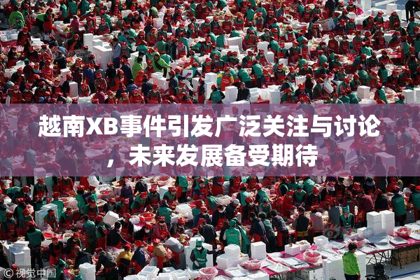 越南XB事件引发广泛关注与讨论，未来发展备受期待