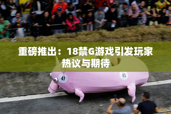 重磅推出：18禁G游戏引发玩家热议与期待