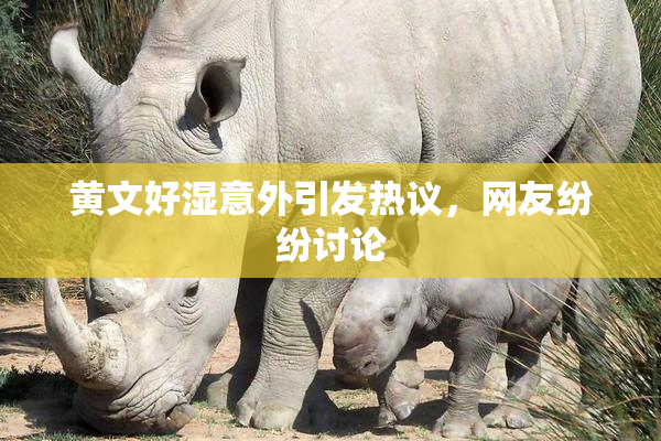 黄文好湿意外引发热议，网友纷纷讨论