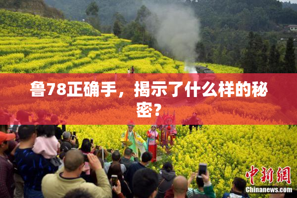 鲁78正确手，揭示了什么样的秘密？