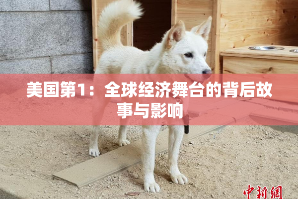 美国第1：全球经济舞台的背后故事与影响