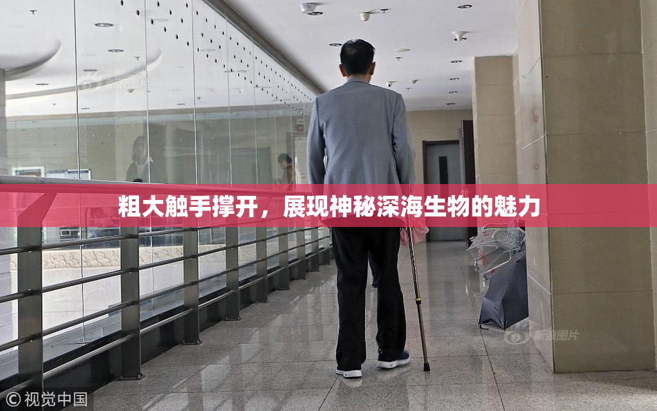 粗大触手撑开，展现神秘深海生物的魅力