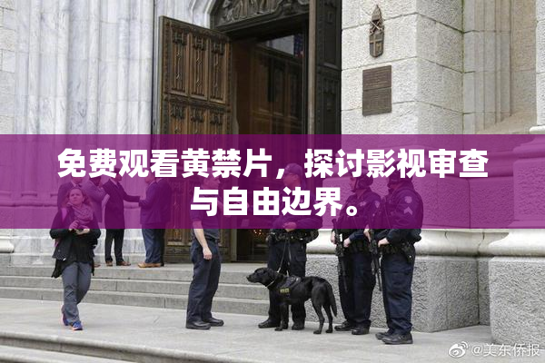 免费观看黄禁片，探讨影视审查与自由边界。