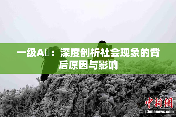 一级A婬：深度剖析社会现象的背后原因与影响