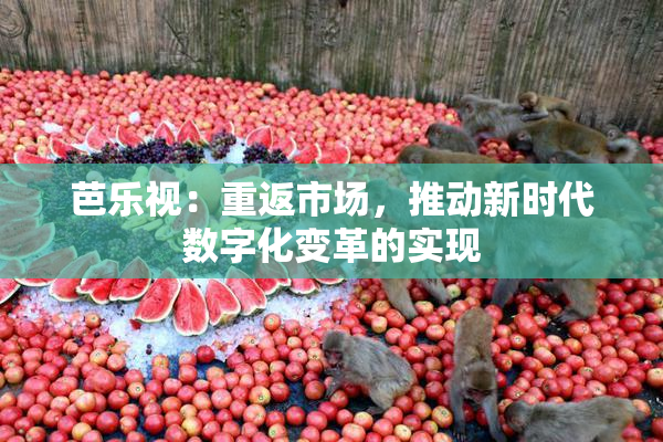 芭乐视：重返市场，推动新时代数字化变革的实现