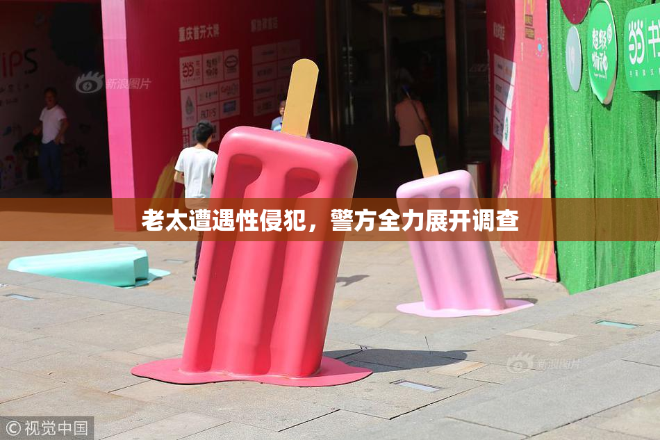老太遭遇性侵犯，警方全力展开调查