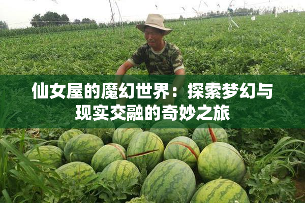 仙女屋的魔幻世界：探索梦幻与现实交融的奇妙之旅
