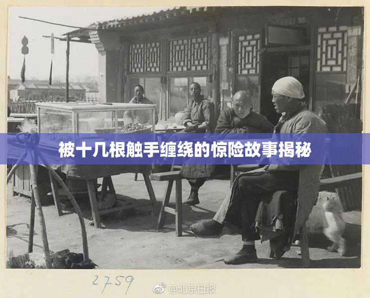 被十几根触手缠绕的惊险故事揭秘