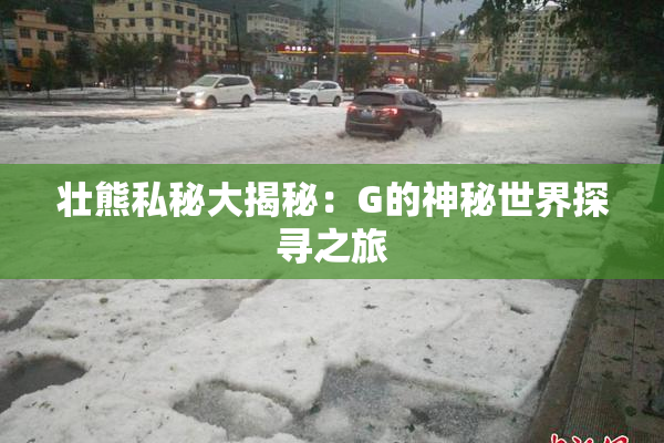 壮熊私秘大揭秘：G的神秘世界探寻之旅