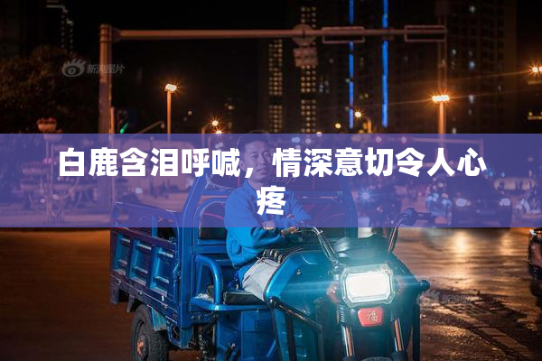白鹿含泪呼喊，情深意切令人心疼