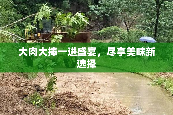 大肉大捧一进盛宴，尽享美味新选择