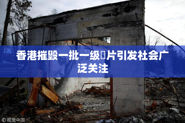 香港摧毁一批一级婬片引发社会广泛关注