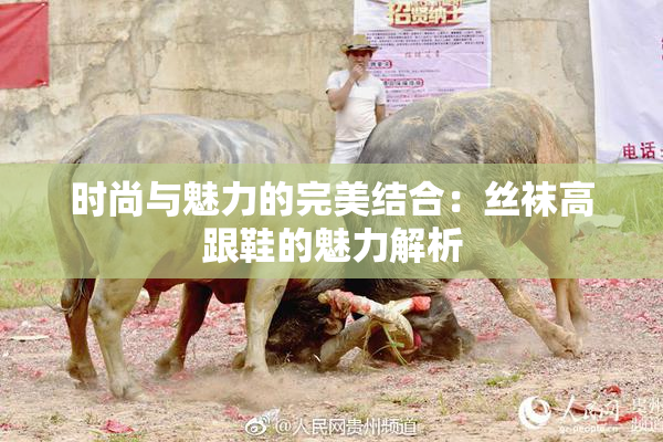 时尚与魅力的完美结合：丝袜高跟鞋的魅力解析