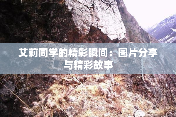 艾莉同学的精彩瞬间：图片分享与精彩故事
