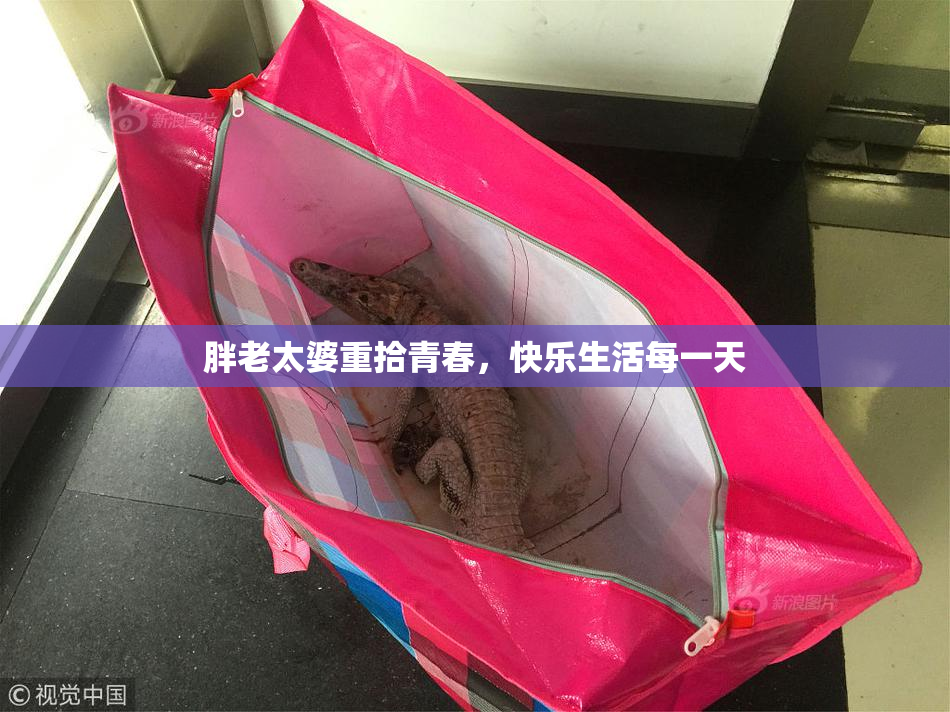 胖老太婆重拾青春，快乐生活每一天