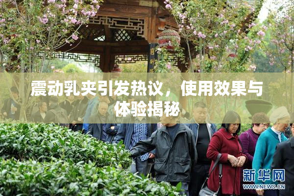 震动乳夹引发热议，使用效果与体验揭秘