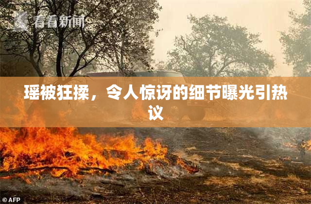 瑶被狂揉，令人惊讶的细节曝光引热议