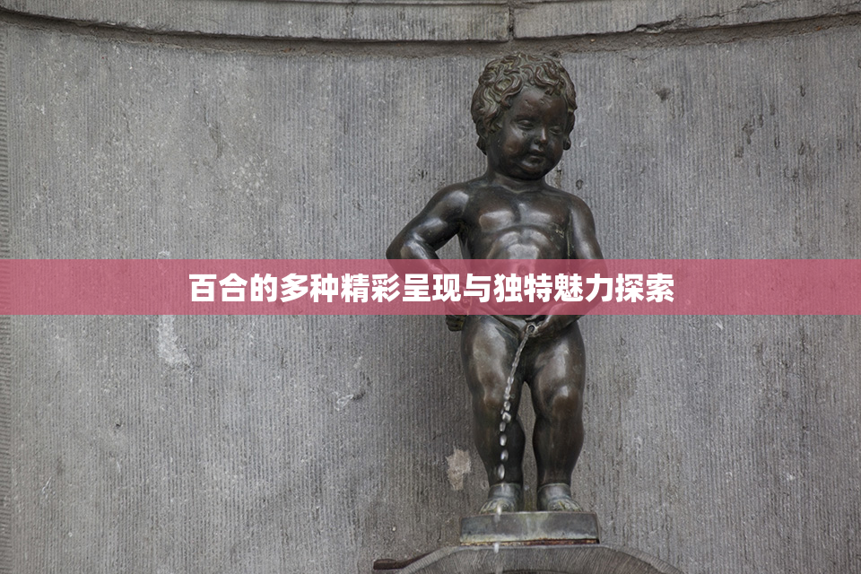百合的多种精彩呈现与独特魅力探索
