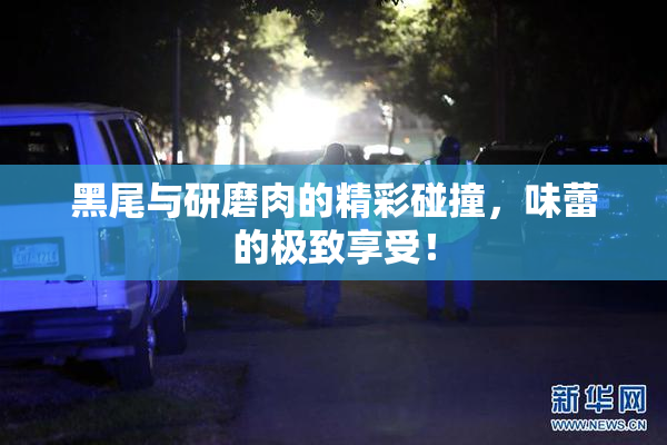 黑尾与研磨肉的精彩碰撞，味蕾的极致享受！