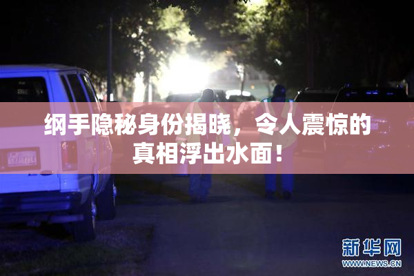纲手隐秘身份揭晓，令人震惊的真相浮出水面！
