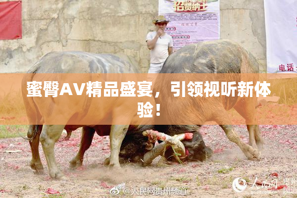 蜜臀AV精品盛宴，引领视听新体验！