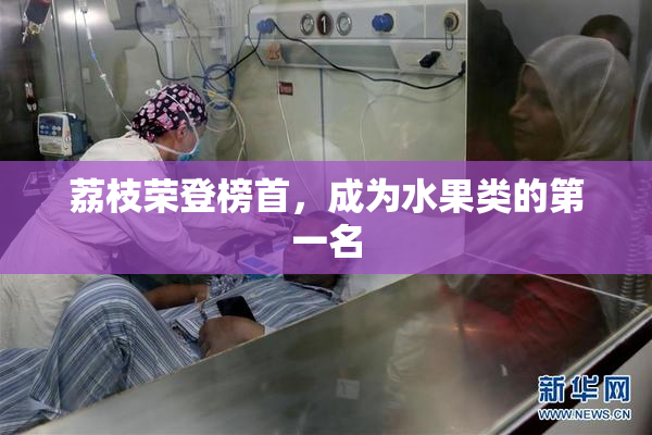 荔枝荣登榜首，成为水果类的第一名