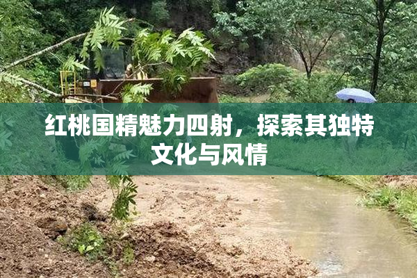 红桃国精魅力四射，探索其独特文化与风情